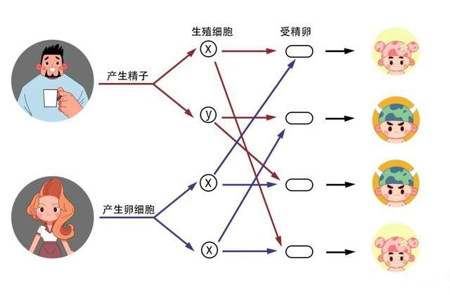 生男生女示意图_清宫表_妊娠纹判断生男生女靠谱吗？