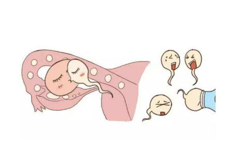精子进入女人体内，没有跟卵子“结合”都跑去哪儿了？