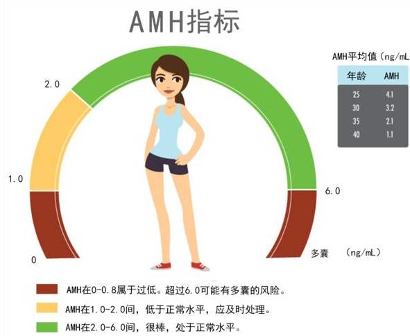 amh低于多少不能做试管婴儿？AMH值的正常范围是多少？