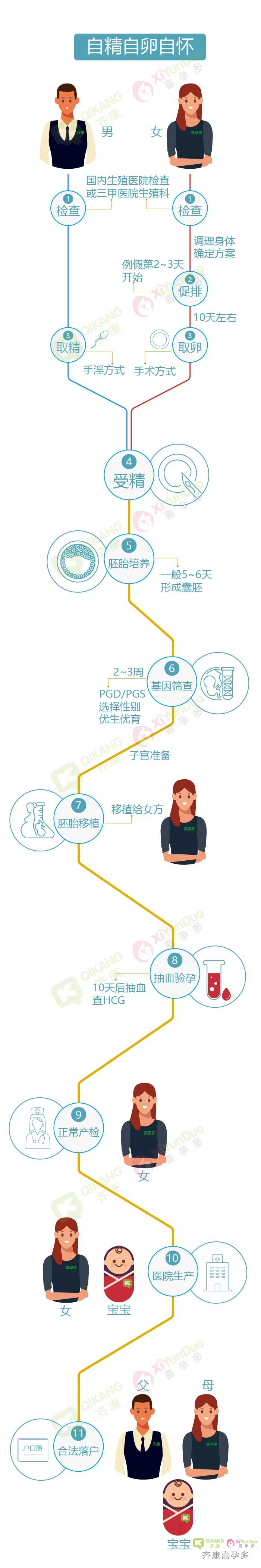 试管婴儿自精自卵自怀流程图