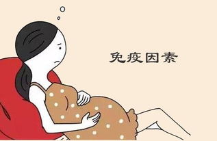 齐康喜孕多：为什么好好的胚胎就停止发育了呢？