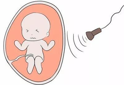 齐康喜孕多：为什么好好的胚胎就停止发育了呢？