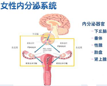 熬夜对女性的危害有哪些