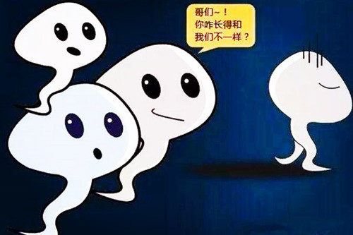 男性备孕期间熬夜,这些危害你可能还不知道?