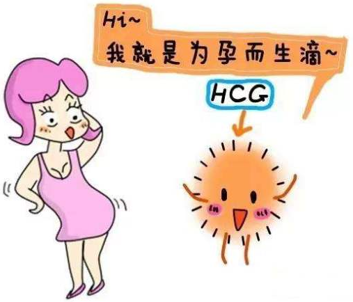 试管婴儿移植后抽血验孕查HCG 判断是否移植成功