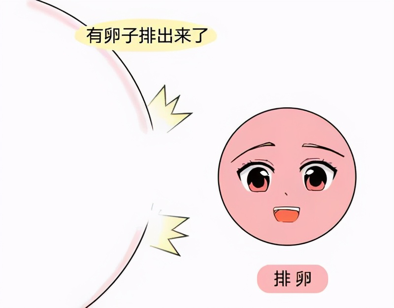 春暖花开，需要哪些备孕攻略