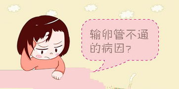 久备不孕？很多女性不孕竟是因为它