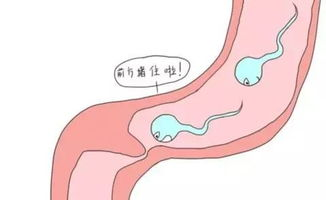 久备不孕？很多女性不孕竟是因为它