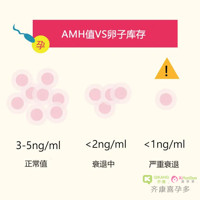 喜孕多，教你怎么看AMH报告