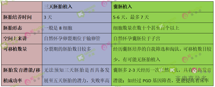 三天胚胎和囊胚移植的优缺点分析