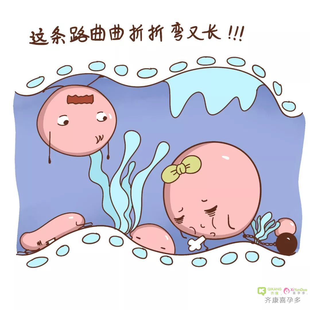 怎样知道卵子库里还有多少颗卵子？