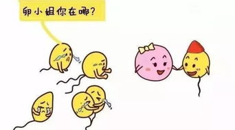 喜孕多告诉你：精子畸形率高该怎么办