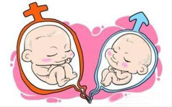 试管是否可以生双胎？两全其美