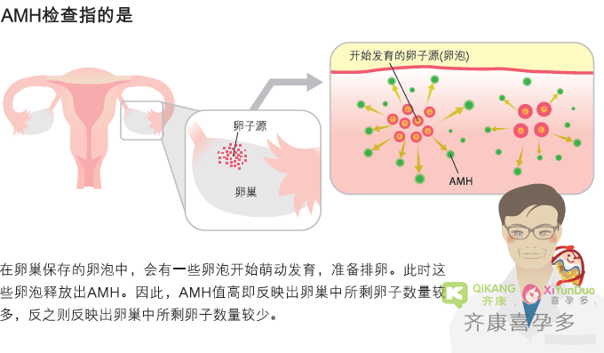 AMH值低能做试管婴儿吗