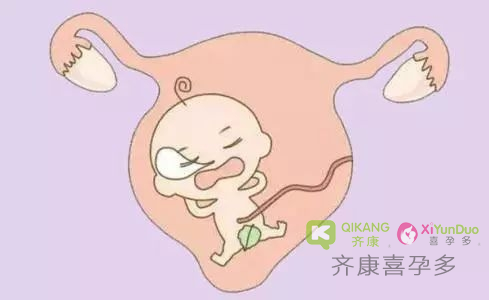 试管移植后，提高胚胎着床率要做到那几点？