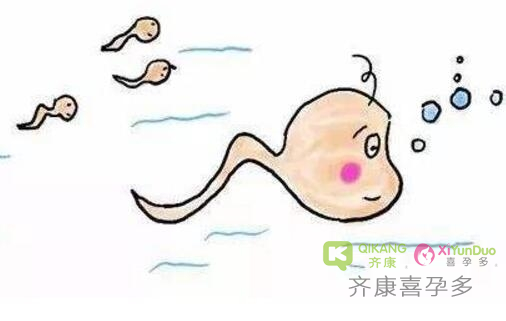 进入女性体内，没有成功受精的“小蝌蚪”，都去哪儿了？