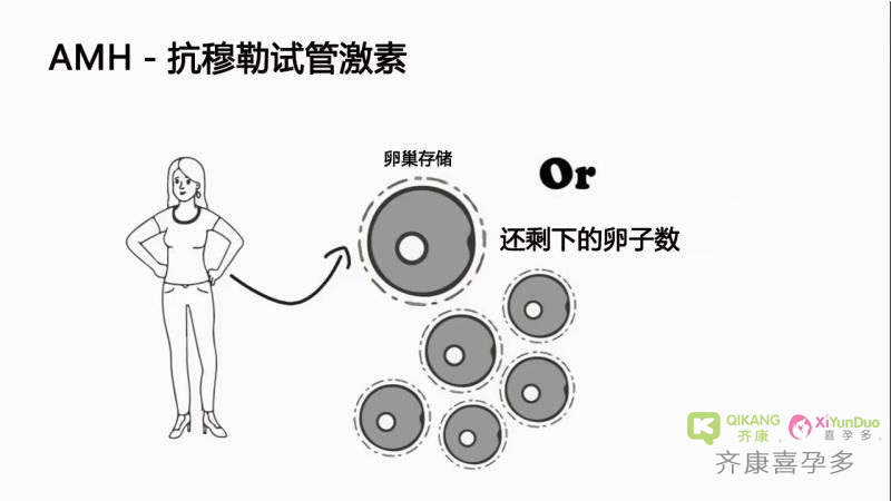 喜孕多告诉你：AMH跟生育能力有什么关系？