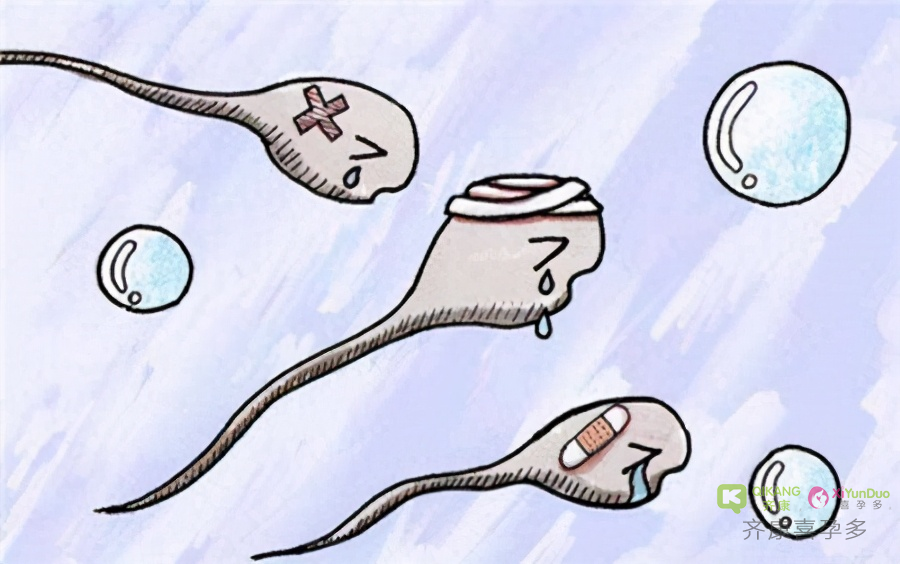 喜孕多告诉你：哪些因素可损害精子健康？