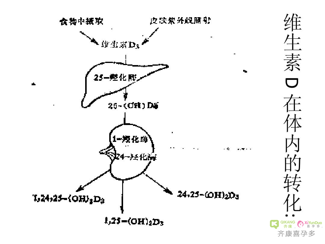 喜孕多告诉你：维生素D缺乏，对试管婴儿有什么影响？