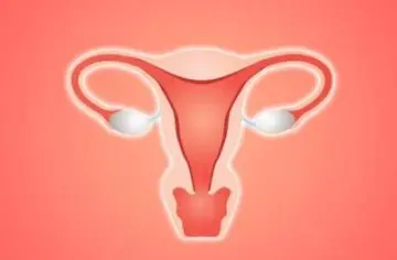 喜孕多告诉你：试管婴儿会不会导致卵巢早衰？