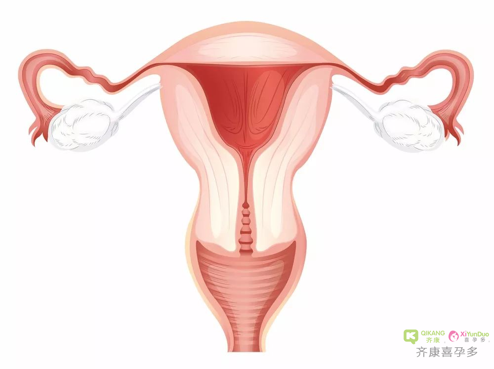 喜孕多告诉你：导致卵巢早衰的因素有哪些？