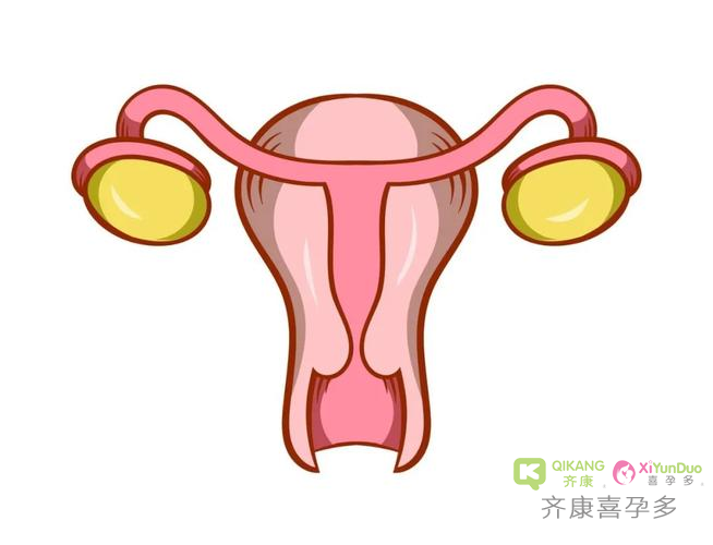 怎么查？女性生育力评估是什么？