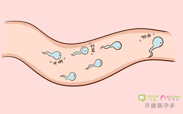 精子活力低怎么办？日常如何调整？