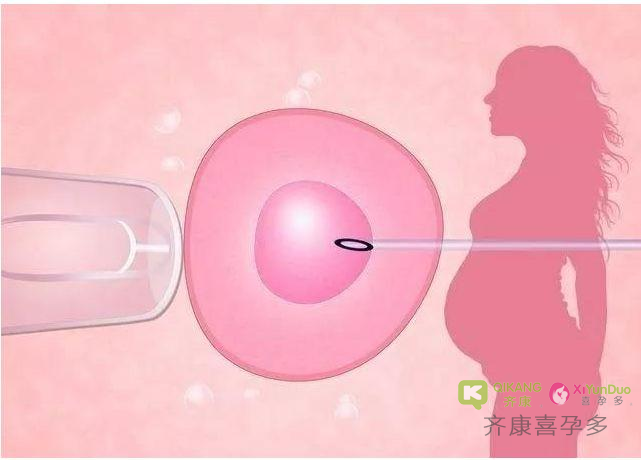 哪些好习惯有助孕试管成功？