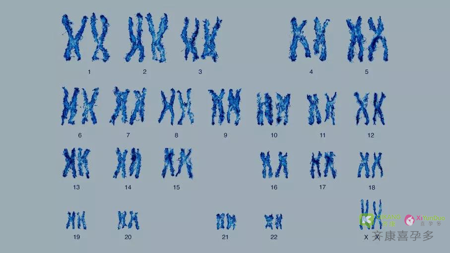 什么是染色体异常？染色体异常能生出健康的孩子吗？