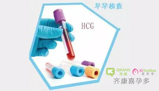 什么是HCG？HCG对怀孕的重要性？