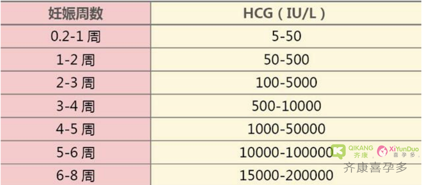 什么是HCG？HCG对怀孕的重要性？