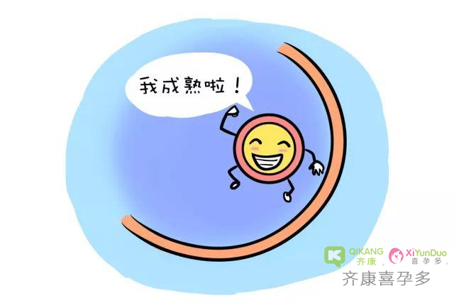 什么是夜针？做试管婴儿为什么要打夜针？