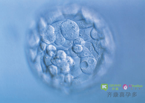 什么是新鲜胚胎？什么是冷冻胚胎？为什么很多人选择冷冻胚胎移植？