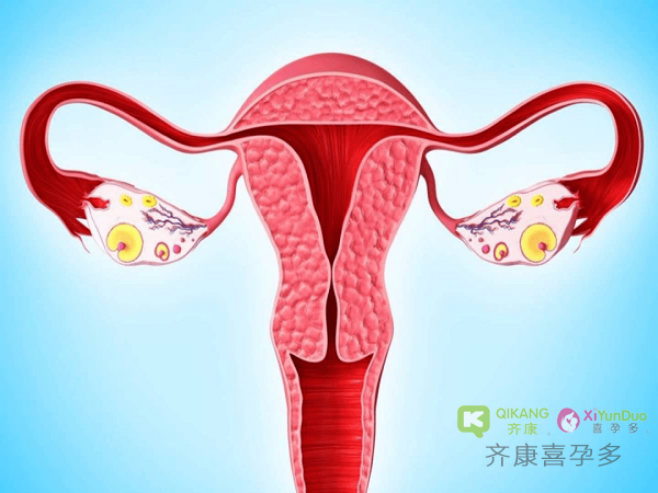 胚胎移植时内膜厚度多少合适？什么样子的子宫内膜更容易着床？