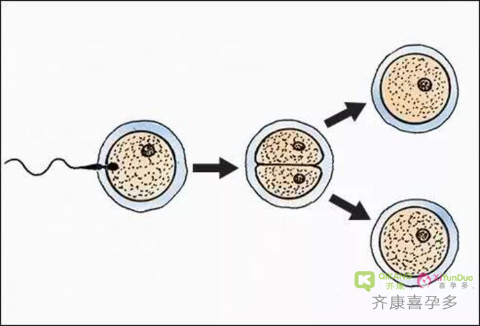 什么是生化妊娠？生化妊娠的原因有哪些？