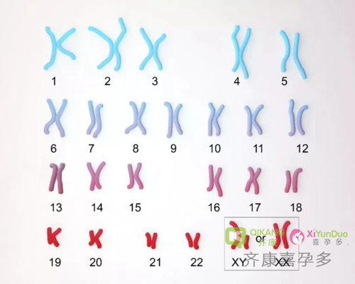 什么是染色体异常？染色体异常三代试管可以解决吗？