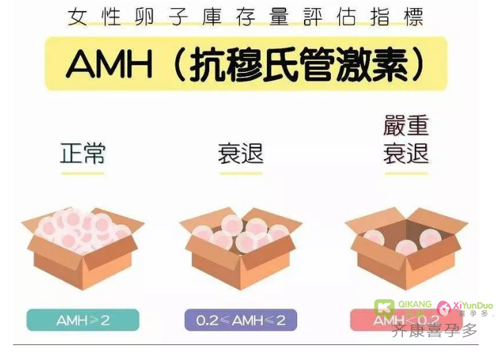 什么是AMH？试管之前为什么要查AMH？