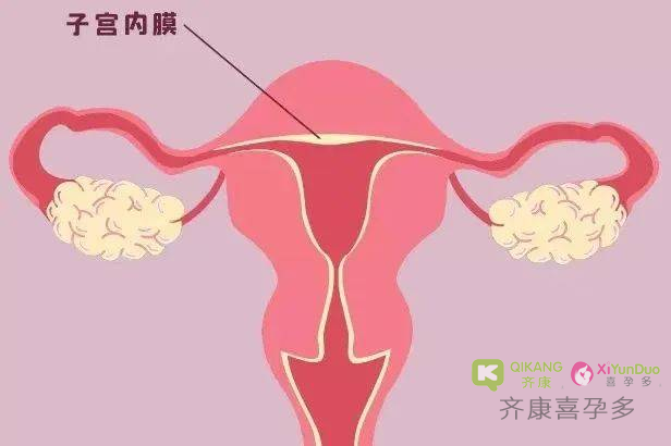 子宫内膜回声欠均匀？可以进行试管移植吗？