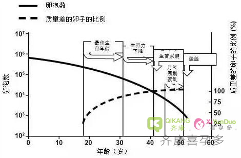 35岁的卵子 VS 25岁的卵子，会败在哪里呢？