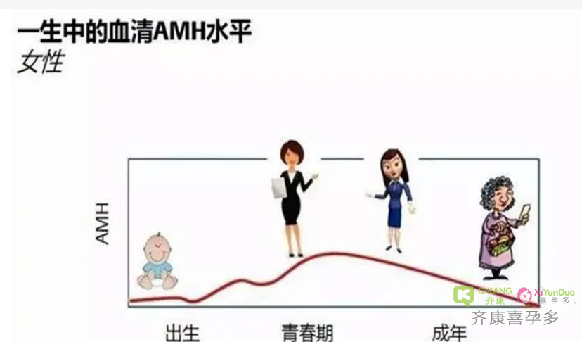 什么是AMH值？试管之前为什么要检查AMH值？