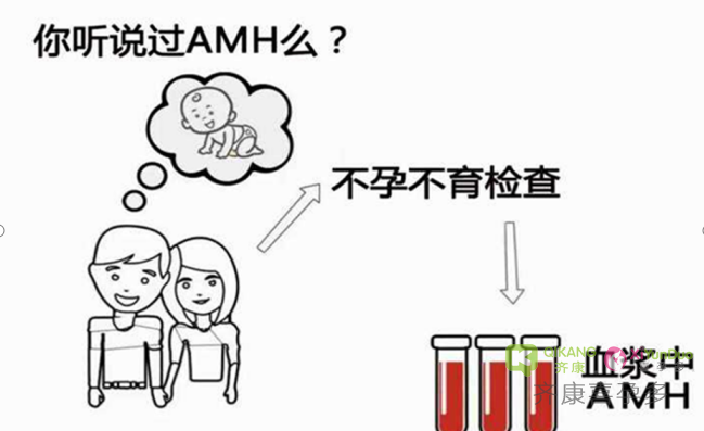 什么是AMH值？试管之前为什么要检查AMH值？