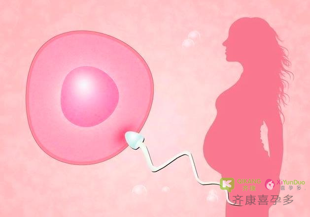 什么是试管婴儿？哪些因素决定试管婴儿的成功率?