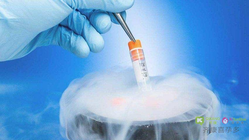 喜孕多告诉你：为什么有些人移植需要冷冻胚胎？