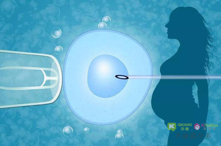 喜孕多告诉你：为什么有些人移植需要冷冻胚胎？
